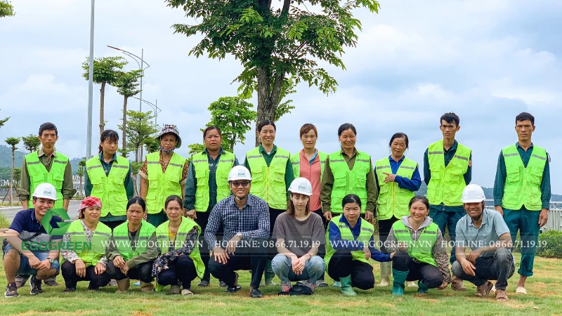 Công ty thiết kế sân vườn resort nghỉ dưỡng tốt nhất miền Bắc - EGOGREEN